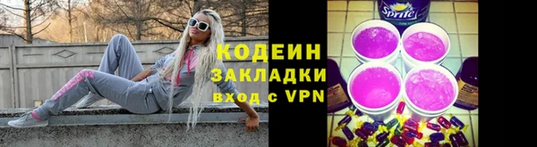 прущие грибы Алзамай