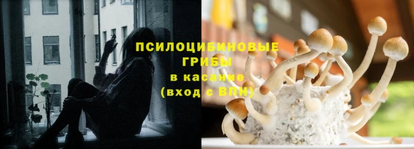 прущие грибы Алзамай