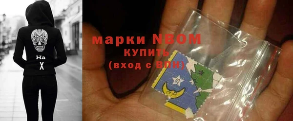 прущие грибы Алзамай