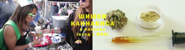 прущие грибы Алзамай