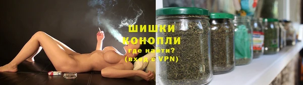 прущие грибы Алзамай