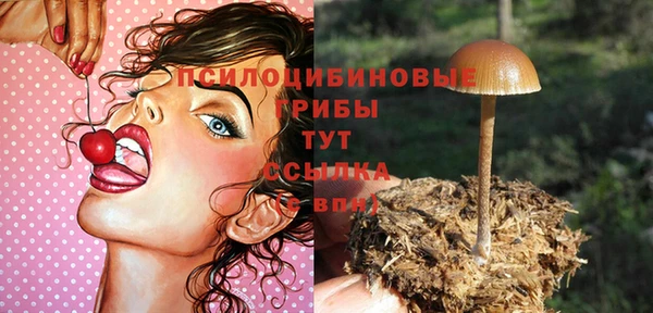 молекула духа Алексеевка