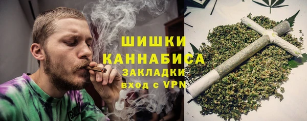 прущие грибы Алзамай