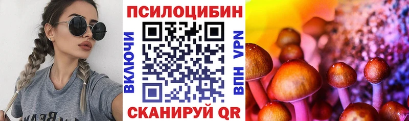 Купить Апрелевка Галлюциногенные грибы Magic Shrooms