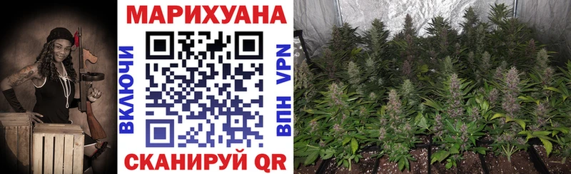 Купить где Апрелевка Каннабис Ganja